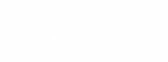 LOGO DS blancoEnero